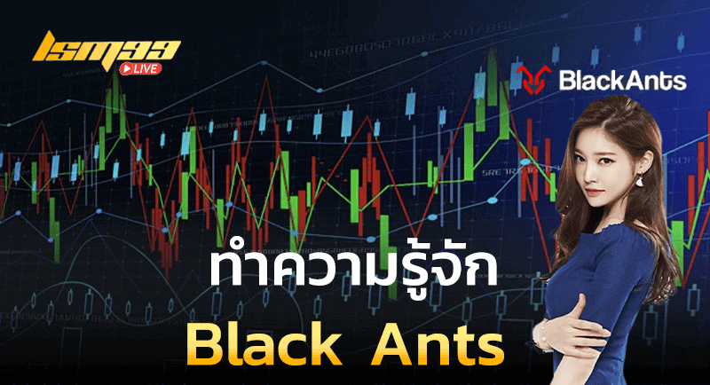 ทำความรู้จัก Black Ants